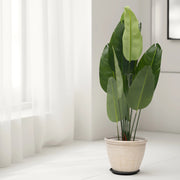 Lush Leaf Artificial Plant - Artificial Plant | Indoor Plant|Decorative Plant|Artificial Greenery|Low-Maintenance Plants|Green DecoR|Nature-Inspired Decor | Artificial Plants Room Decor | Tropical Fake Plant in Pot